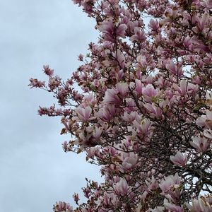 Meet your Posher, Anushree